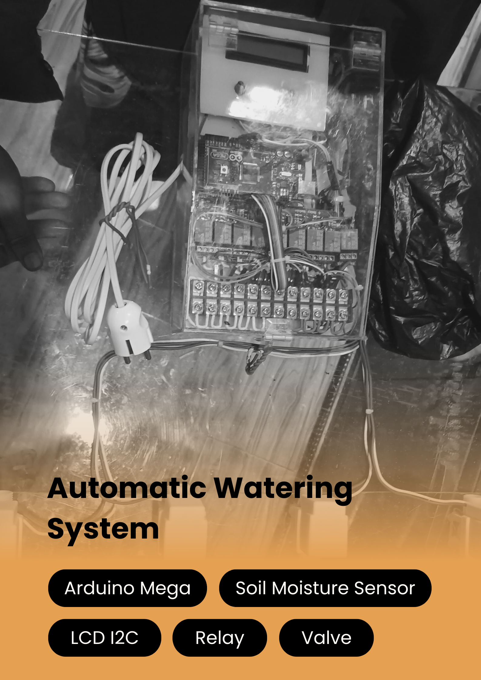 Automatic Watering System